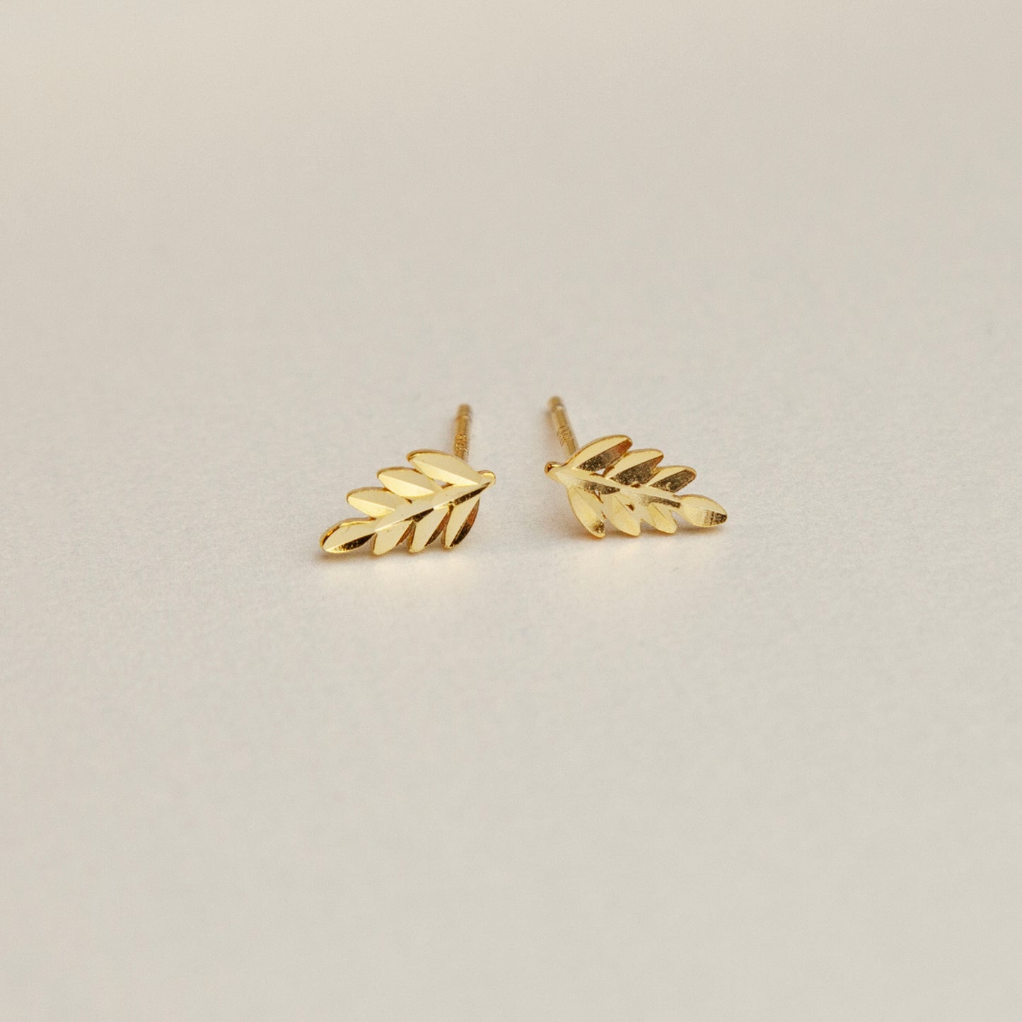 Leaf Stud Earrings in Sterling Silver